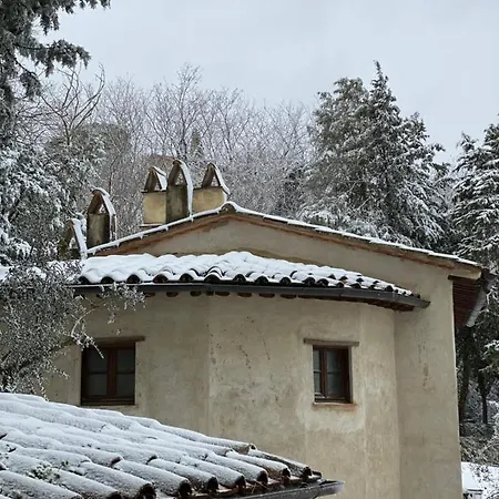 La Tana Del Grifo - Podere Amodeo *