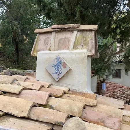 La Tana Del Grifo - Podere Amodeo