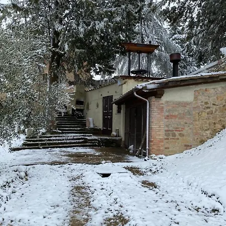 La Tana Del Grifo - Podere Amodeo Chiusi