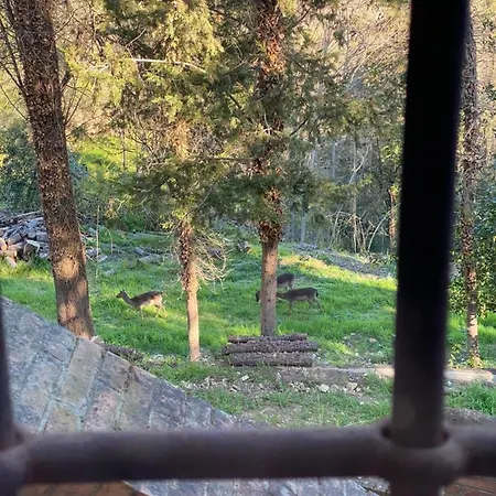 La Tana Del Grifo - Podere Amodeo Country house