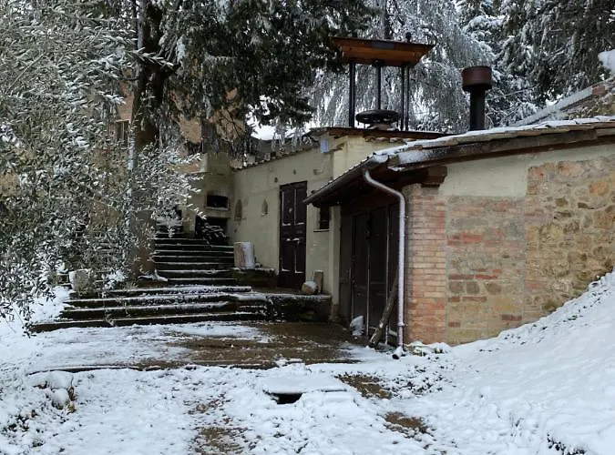 La Tana Del Grifo - Podere Amodeo Chiusi